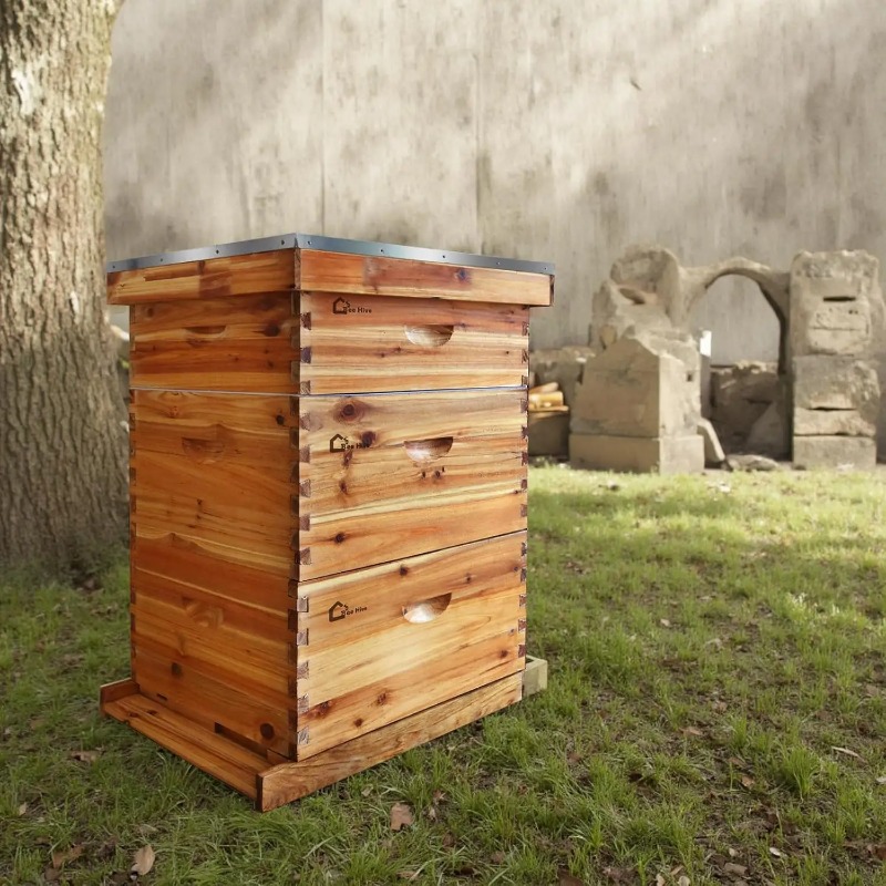 Beehive Frame Wax - ชุดรังผึ้งสำเร็จรูป 10 เฟรม พร้อมเคลือบแว็กซ์ สำหรับผู้เริ่มต้น ประกอบด้วยกล่องลึก