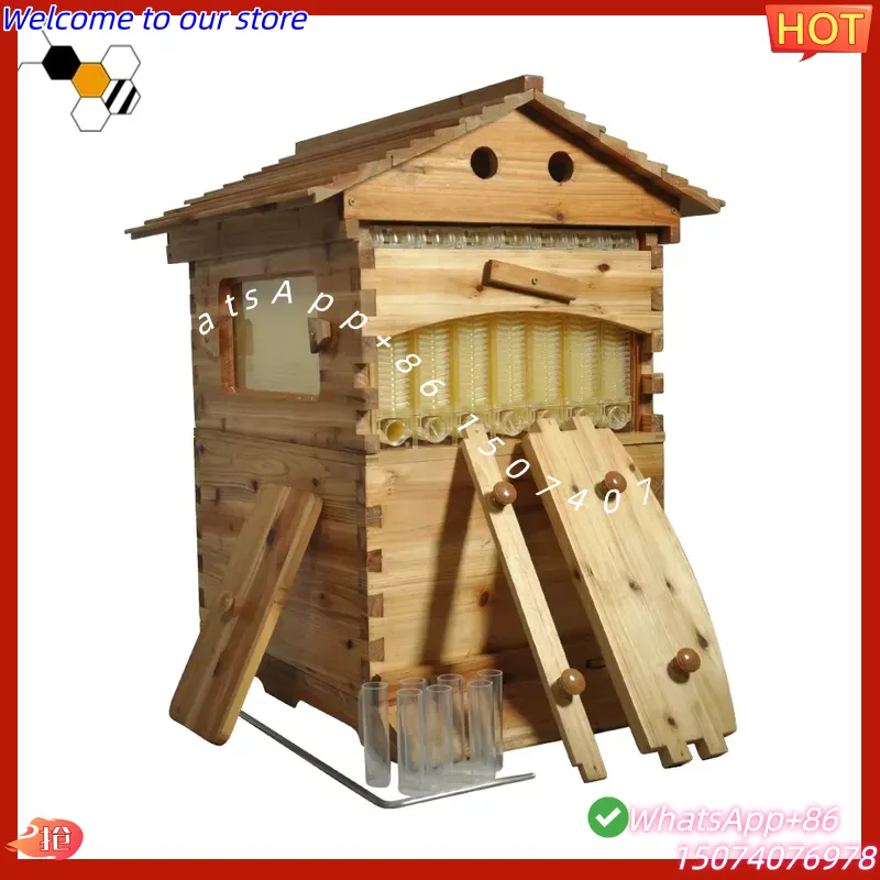 Beehive Frame Wax - รังผึ้งอัตโนมัติแบบไหลเองได้ ปี 2026 ทำจากไม้สนจีนเคลือบขี้ผึ้ง พร้อมโครงรัง 7