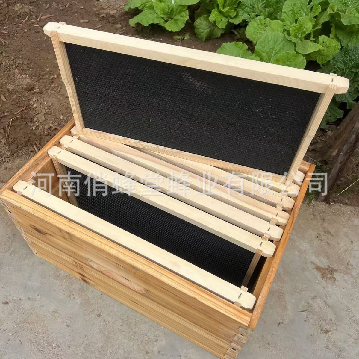 Beehive Frame Wax - อุปกรณ์การเลี้ยงผึ้งคุณภาพสูง ฐานรังพลาสติกแบบไม่สะดุด ฐานรังไม้สน โครงรังแบบอิตาลี น้ำยาเคลือบผึ้ง รังผึ้ง