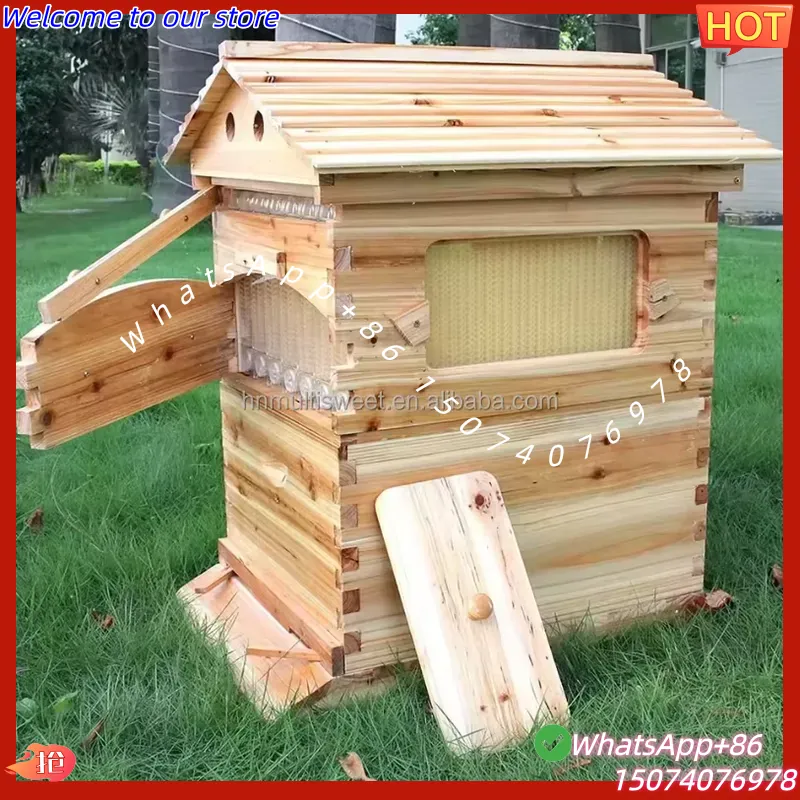รังผึ้งอัตโนมัติแบบไหลเองได้ ป - Beehive Frame Wax บทวิจารณ์และราคา