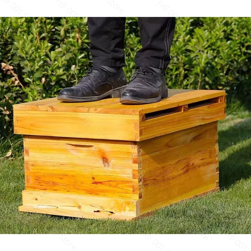 ชุดรังผึ้งครบชุด 10 เฟรม เคลือ - Beehive Frame Wax บทวิจารณ์และราคา