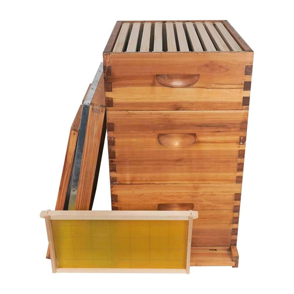 รังผึ้งแบบ Langstroth 3 ชั้น ช - Beehive Frame Wax บทวิจารณ์และราคา
