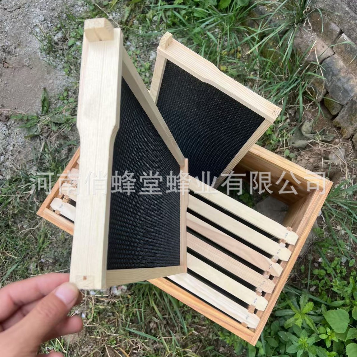 อุปกรณ์การเลี้ยงผึ้งคุณภาพสูง  - Beehive Frame Wax บทวิจารณ์และราคา