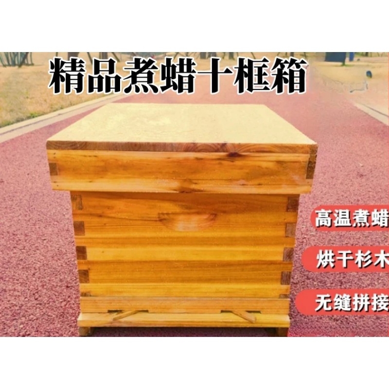 รังผึ้งในกล่องผึ้ง ชุดเต็มของข - Beehive Frame Wax บทวิจารณ์และราคา