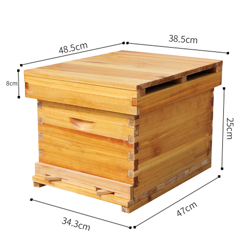 ชุดอุปกรณ์เลี้ยงผึ้งครบชุด ผึ้ - Beehive Frame Wax บทวิจารณ์และราคา