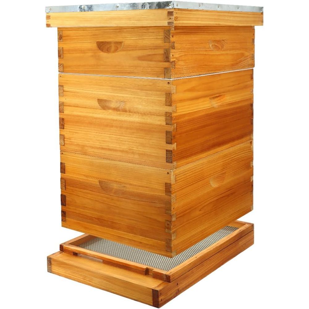 ชุดรังผึ้ง 10 เฟรม พร้อมแผ่นฐา - Beehive Frame Wax บทวิจารณ์และราคา