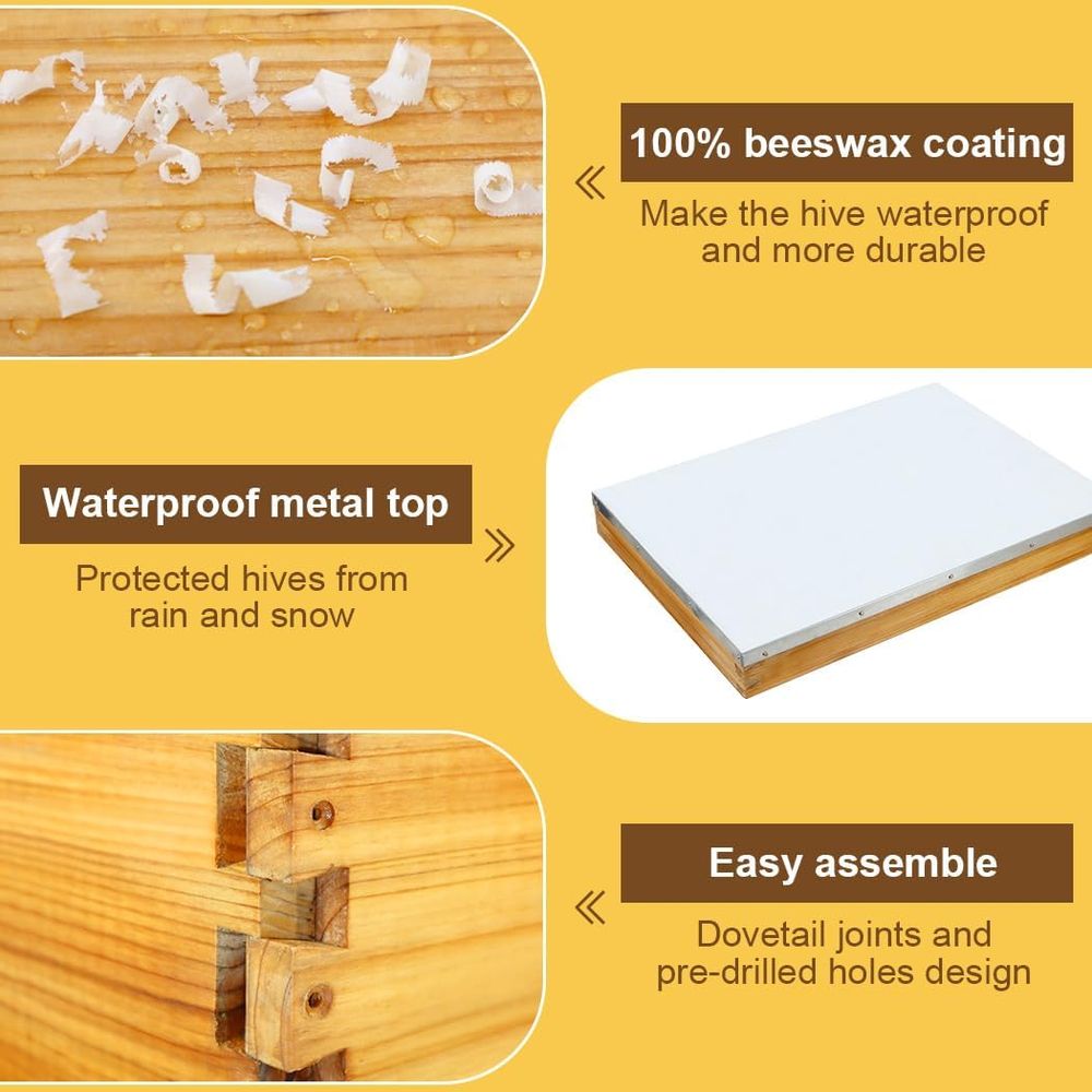 ชุดรังผึ้ง 10 เฟรม พร้อมแผ่นฐา - Beehive Frame Wax บทวิจารณ์และราคา